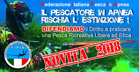 4147novita-2018.jpg
