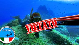 1119capofalcone regolamento