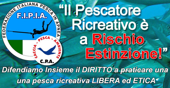 fipia-cs copia