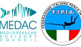 fipia medac